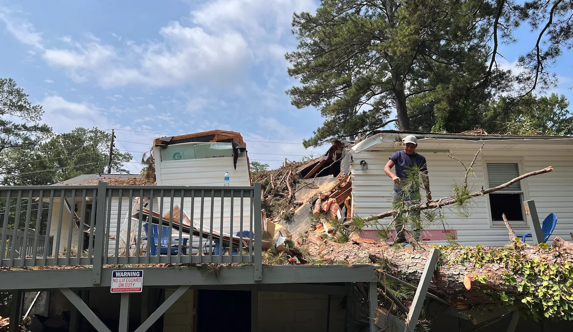 Large pine tree fallen onto the roof of a single-story home after a storm